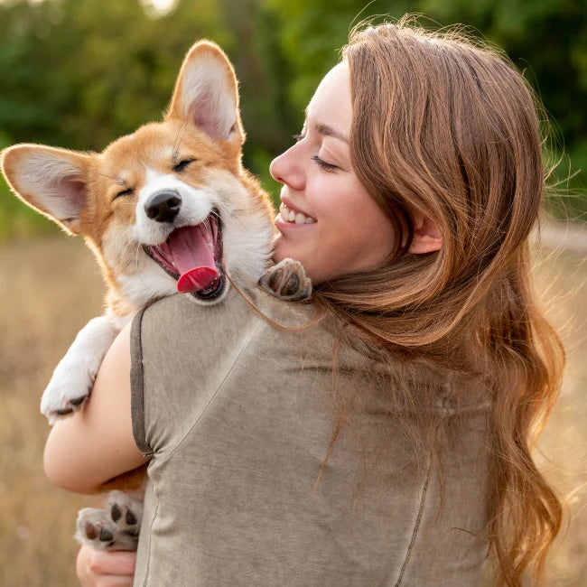 Most Popular Dog Supplements